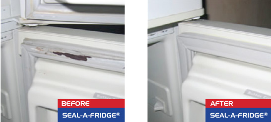 cracked-fridge-seals